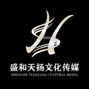 山东盛和天扬文化传媒有限公司